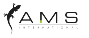 AMS International 